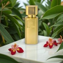 NORA 50 ML KADIN PARFÜM
