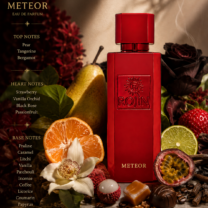 METEOR 100 ML KADIN PARFÜM